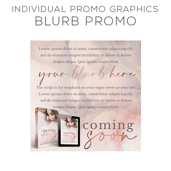 Blurb Graphic - Individual Promo Graphics Pack Design for Authors - Premade and Custom Book Cover Packages from The Author Buddy