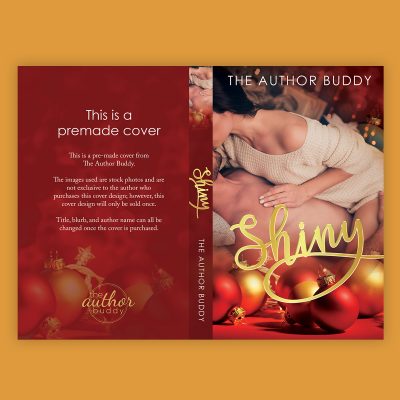 Shiny - Premade Holiday Romance Book Cover from The Author Buddy