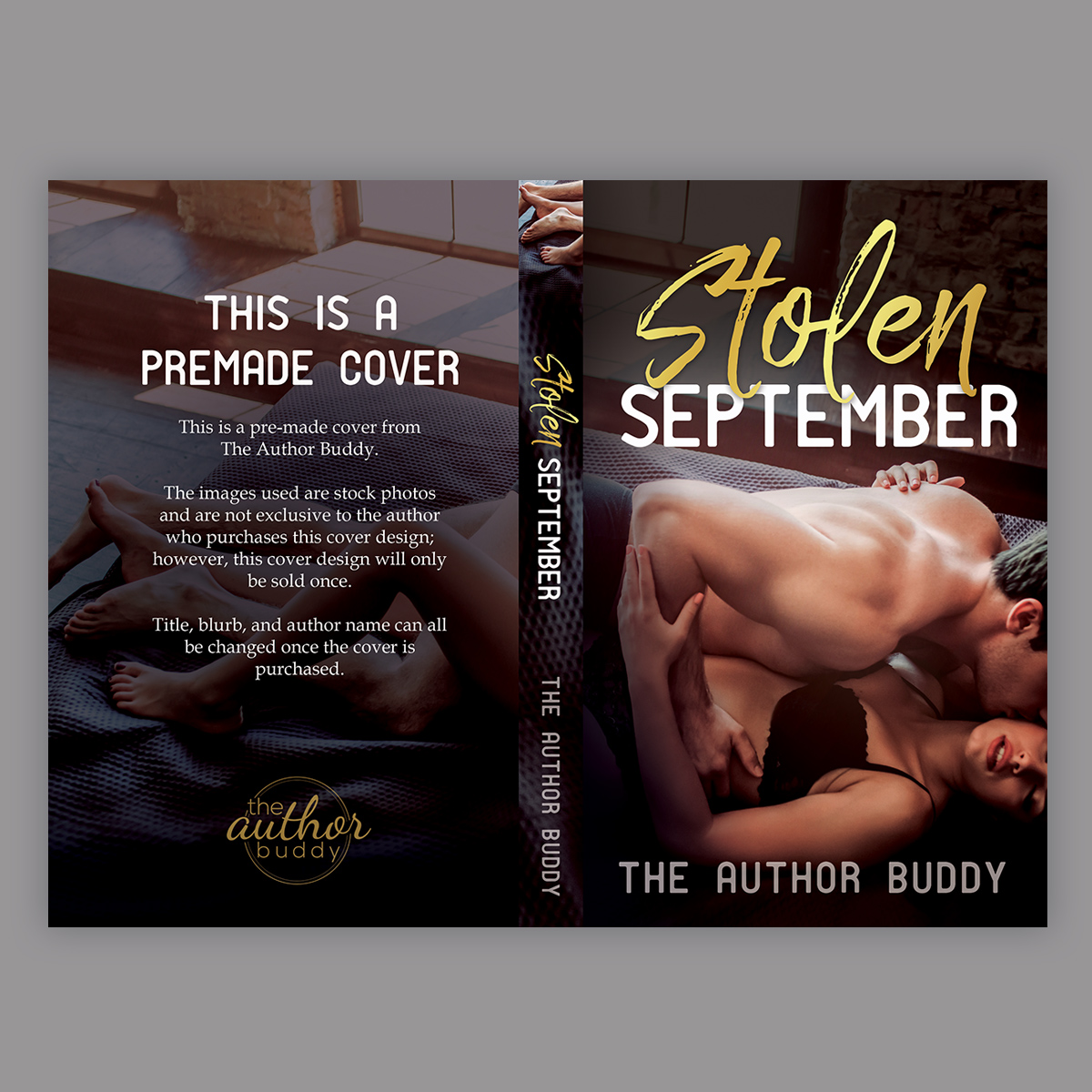 Stolen September - Premade Book Cover from The Author Buddy