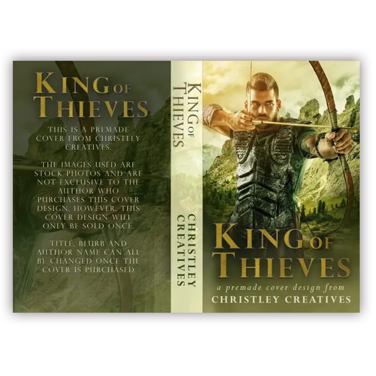 King of Thieves - Premade Contemporary Romance Book Cover from Christley Creatives