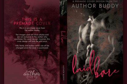 Laid Bare - Premade Contemporary Steamy Dark Romance Book Cover from The Author Buddy