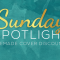 Sunday Spotlight - The Author Buddy Premade Book Cover Specials