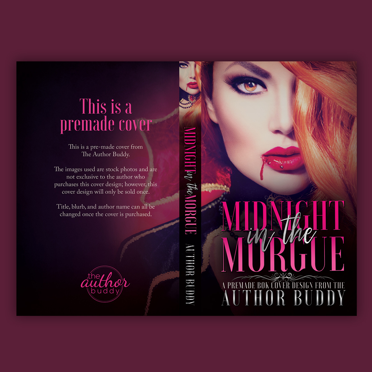 Midnight in the Morgue - Premade PNR NA Vampire Book Cover from The Author Buddy