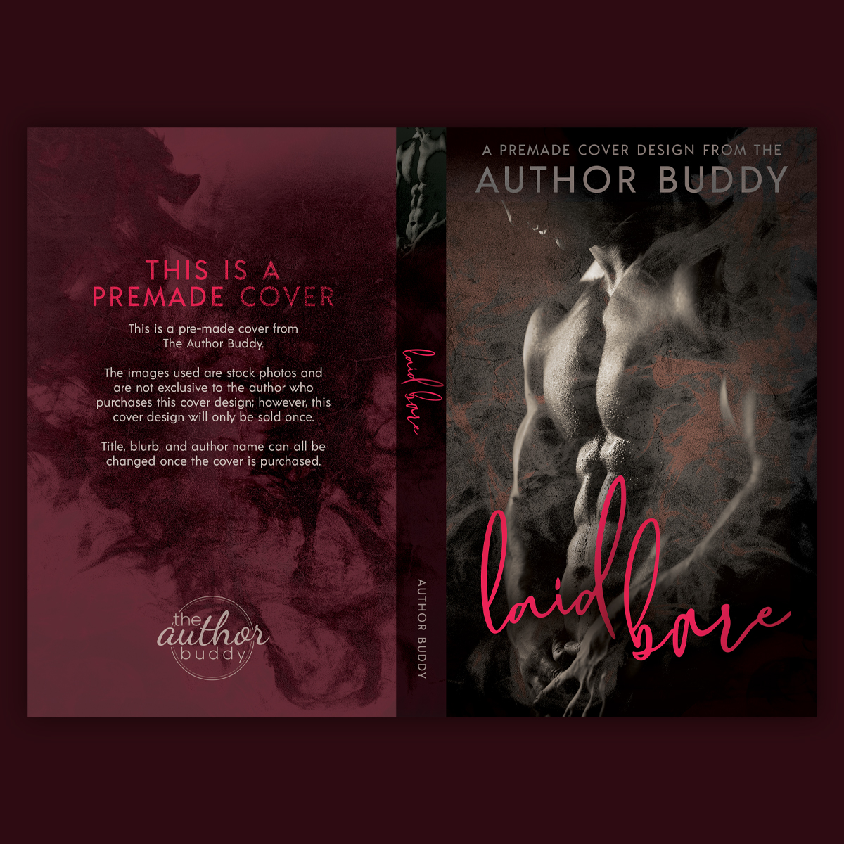 Laid Bare - Premade Contemporary Steamy Dark Romance Book Cover from The Author Buddy